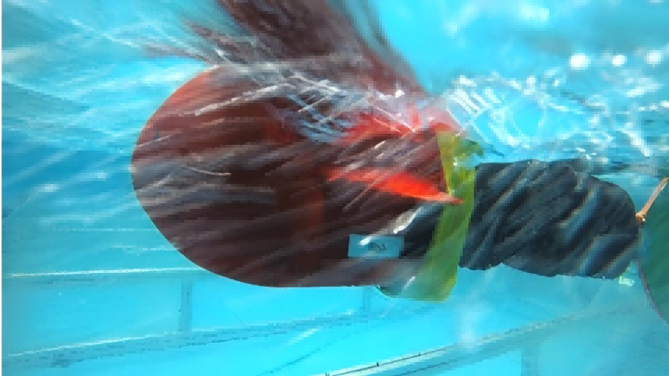 Flow Perception and Flow-Resistant Locomotion for Robotic Fish